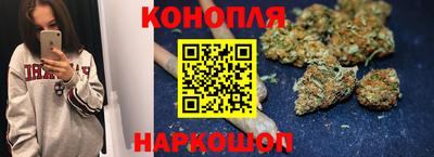 стафф Жуковский