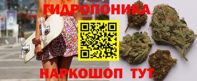 соль ск Дубна