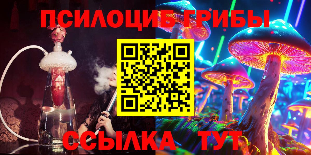 Мценск  купить наркотики цена  Вход с VPN  Псилоцибиновые грибы Psilocybine cubensis 