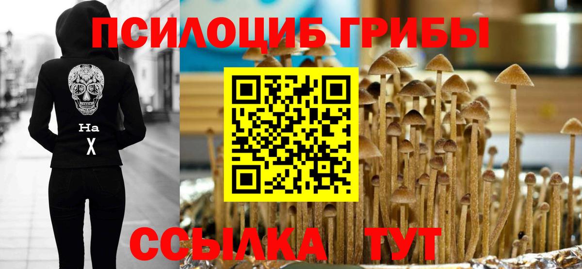 Галлюциногенные грибы GOLDEN TEACHER Мценск